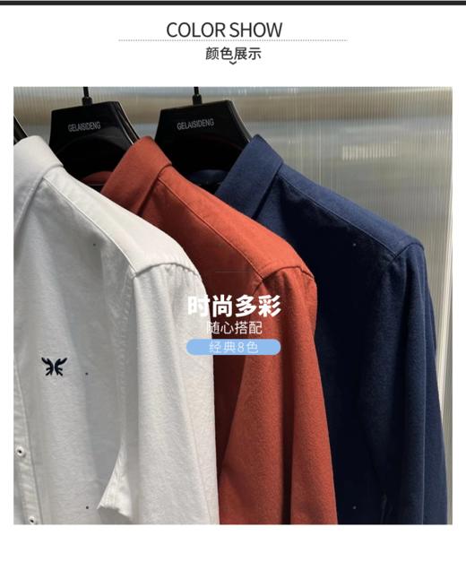 男装24秋冬新品休闲翻领长袖衬衫2219-9353 商品图2
