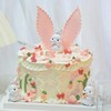 兔子的小花园 精灵兔兔，可可爱爱～纯动物奶油，口味可选 商品缩略图0