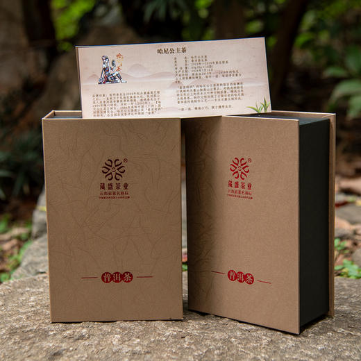 2010—2019十年哈尼公主品鉴装袋装普洱生茶80g 商品图1