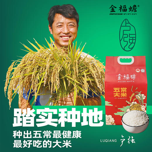 金福蟾五常大米5kg 商品图1