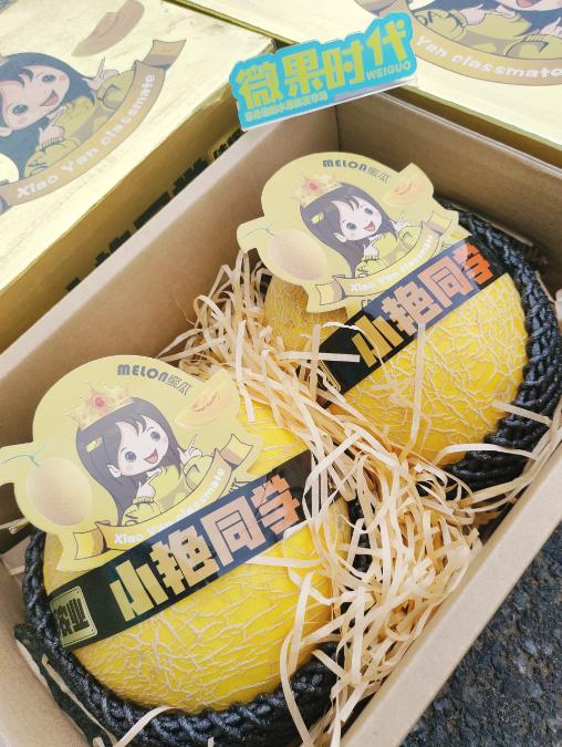 小艳同学网纹蜜瓜一箱（2粒装） 商品图2