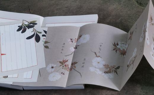 《枕草子》，16开，[日] 清少纳言著，周作人译，时代华语出品，江苏凤凰文艺出版社2019年一版一印，定价79.8元，售价24元。 商品图9