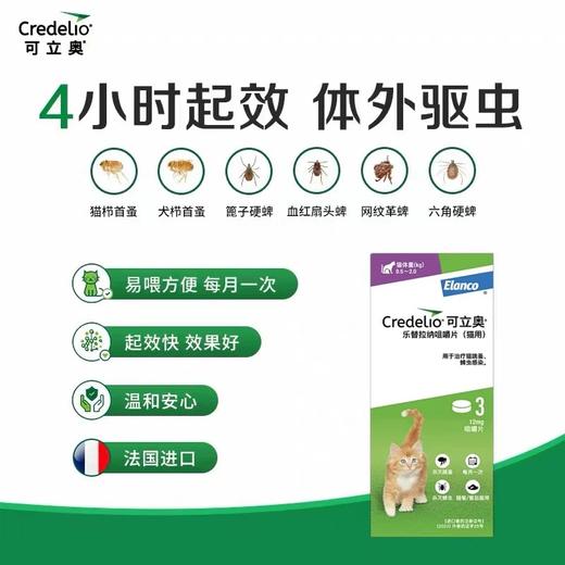 可立奥乐替拉纳 猫口服外驱 猫用 驱跳蚤蜱虫  一月一次 快速起效 法国进口 体外驱虫（预售5天） 商品图2