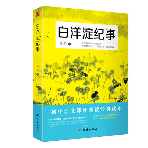 白洋淀纪事 商品图0