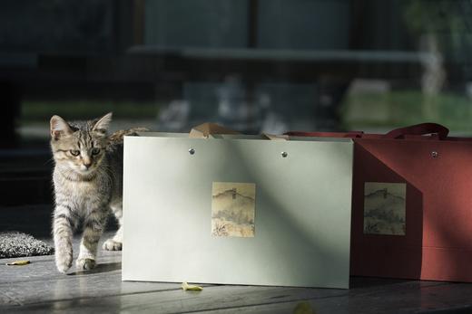 明明甄选 珠兰花雅韵红茶 商品图8