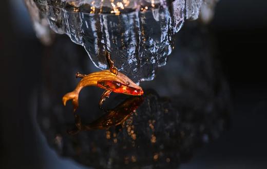 鲸之三色 商品图4