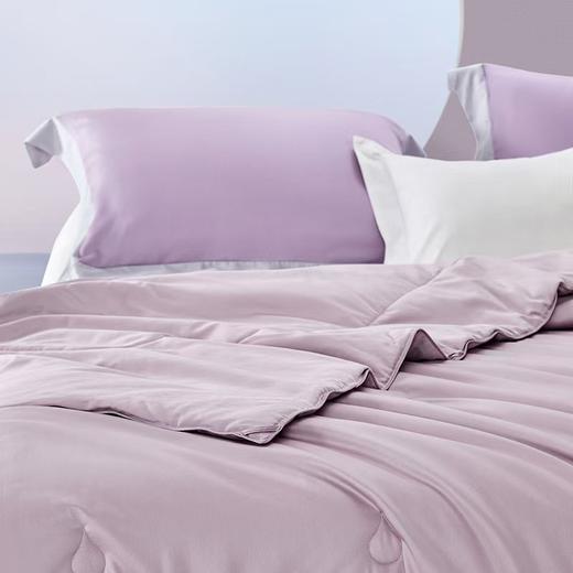 【6F】罗莱 尚 天长地久桑蚕丝四季被 商品图2