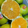 秋天的滋味，高山红土蜜桔🍊每次回味的果香都让人沉醉，悄悄地把秋日都融化在其中。不单送。 商品缩略图8