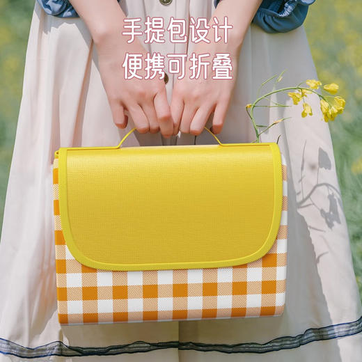 野餐垫防潮垫加厚户外野炊沙滩地垫春游坐垫防水草坪垫子 商品图3