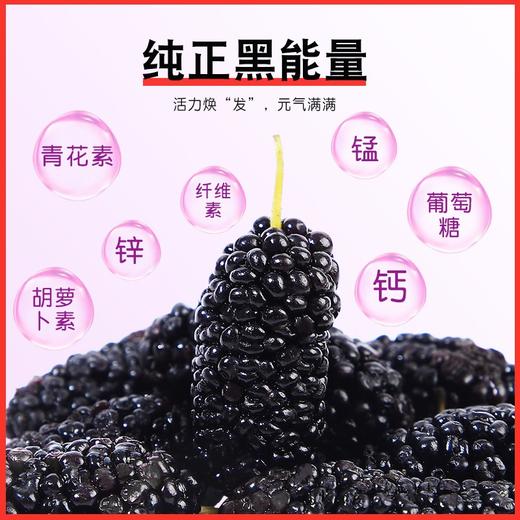 闽宁故事桑葚250g（KBJ）（仅限福建省内配送，满400元包邮） 商品图1