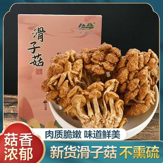 科百佳滑子菇100g（KBJ）（仅限福建省内配送，满400元包邮） 商品图1