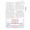 Nunn和Lumb应用呼吸生理学 第9版 张骅 刘岗 医药卫生书籍 介入性肺病学 科学技术文献出版社9787523514382 商品缩略图3