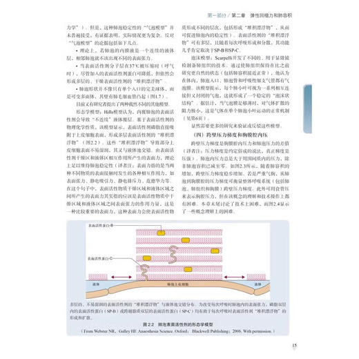 Nunn和Lumb应用呼吸生理学 第9版 张骅 刘岗 医药卫生书籍 介入性肺病学 科学技术文献出版社9787523514382 商品图3