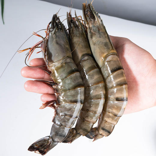 弹指鲜生活冻黑虎虾400g（16-20只）*4袋 商品图2