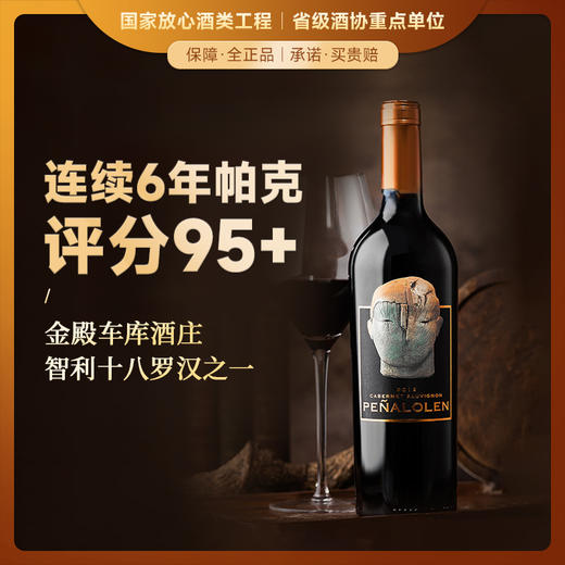 【连续6年帕克评分95+】佩络赤霞珠干红葡萄酒 麦坡谷产区 14.9%vol 商品图0