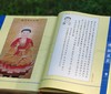 《佛祖道影》:彩绘版，全2册，绸布面精装，16开，广东省文化传播学会编，陈杰 绘 ；岭南美术出版社2012年一版一印，定价：380，售价：80。 商品缩略图5