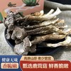 科百佳鹿茸菇100g（KBJ）（仅限福建省内配送，满400元包邮） 商品缩略图1