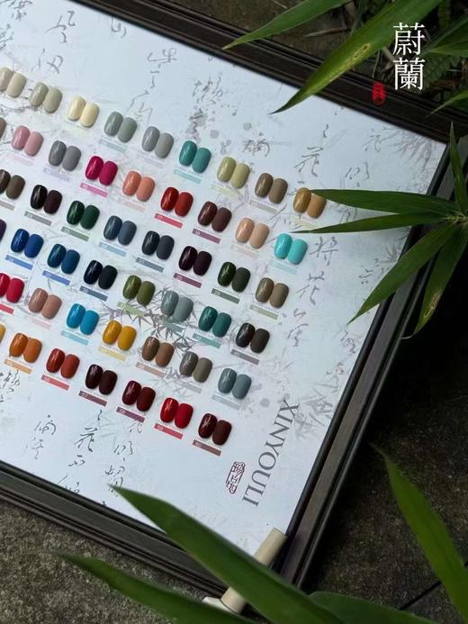 伈柚里60色·蔚阑 商品图3