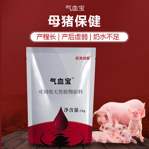 【气血宝】巨龙补中益气散气血宝1公斤 补气补血缩短产程 商品图2