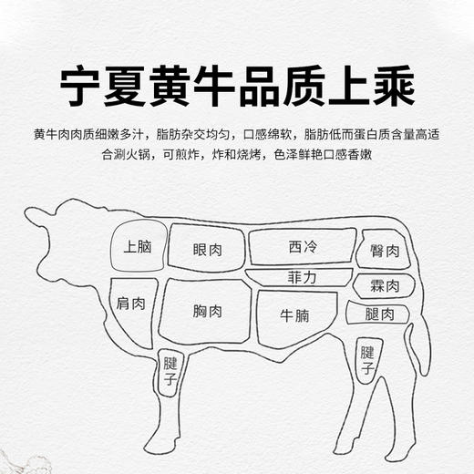 泾河牧场黄牛肉500g（KBJ）（仅限福建省内配送，满400元包邮） 商品图3