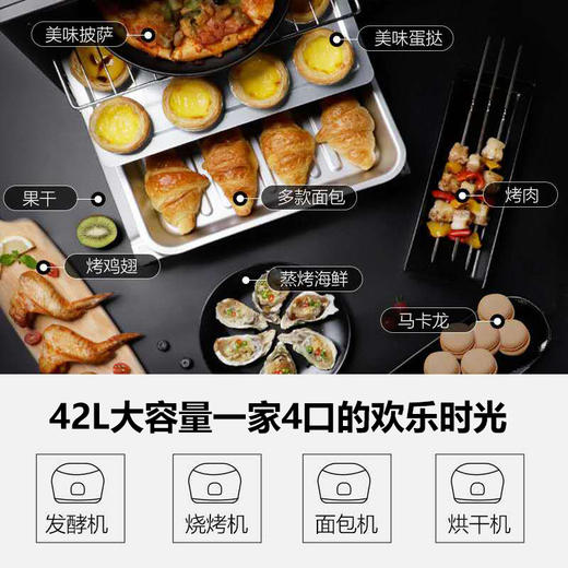 格兰仕42升多功能电烤箱 多层烤位上下独立控温烤箱TQH-42B 商品图2
