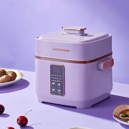 欧锐铂 乐美-智能电炖锅 商品图0
