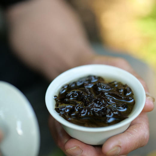 武夷岩茶风味集礼盒 大坑口肉桂/岩中兰/ 老枞水仙 来自核心正岩产区 三联生活爱茶推荐 商品图1