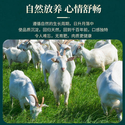 内蒙古草原黄芪羊自然放养不育肥新鲜现宰高档礼盒 商品图3