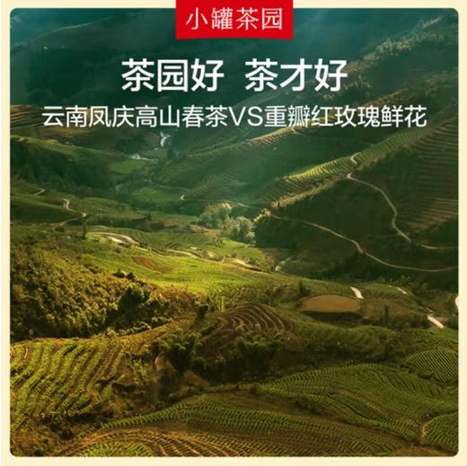 小罐茶园茶叶玫瑰花茶红茶16袋装礼盒 茶叶自己喝 4g*16袋 商品图1