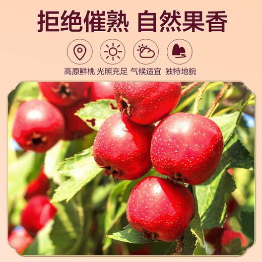 亲彭昊优彭阳山楂脯188g（KBJ）（仅限福建省内配送，满400元包邮） 商品图3
