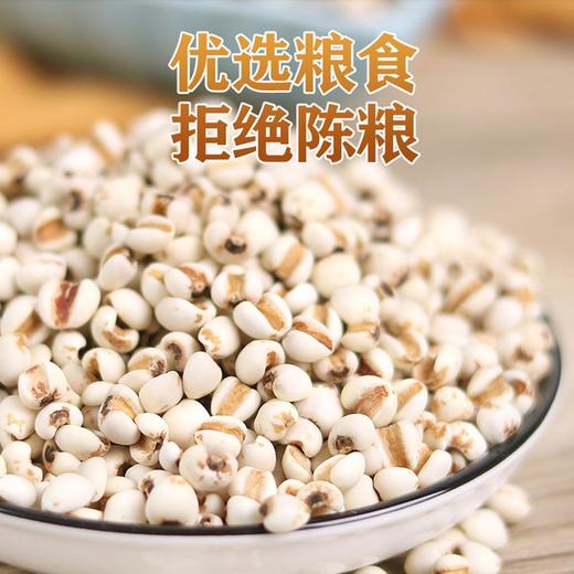 科百佳薏米500g（KBJ）（仅限福建省内配送，满400元包邮） 商品图1
