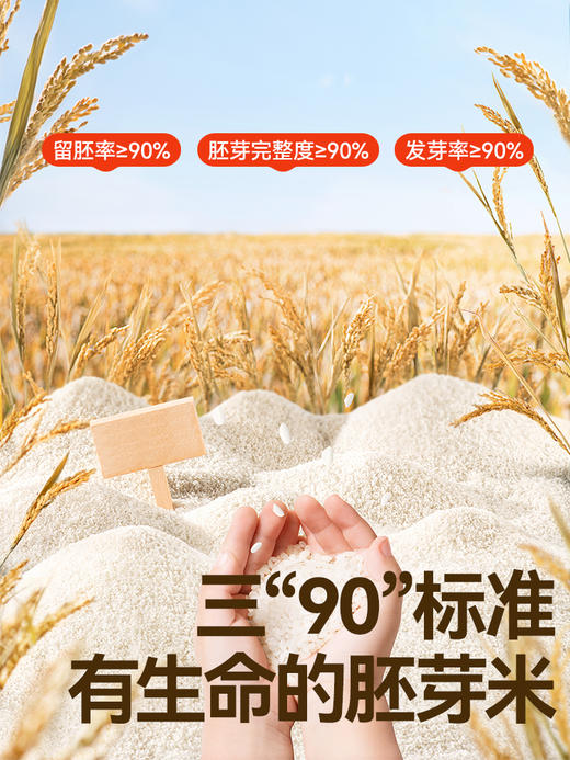 秋田满满-胚芽米组合（单拍不发货，3件起发） 商品图1