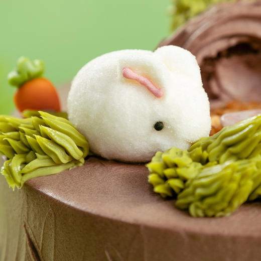 【森林兔宝宝】鲜果巧克力奥利奥 商品图2