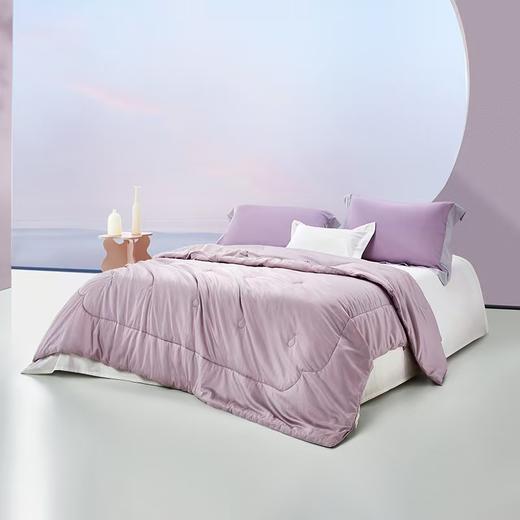 【6F】罗莱 尚 天长地久桑蚕丝四季被 商品图1