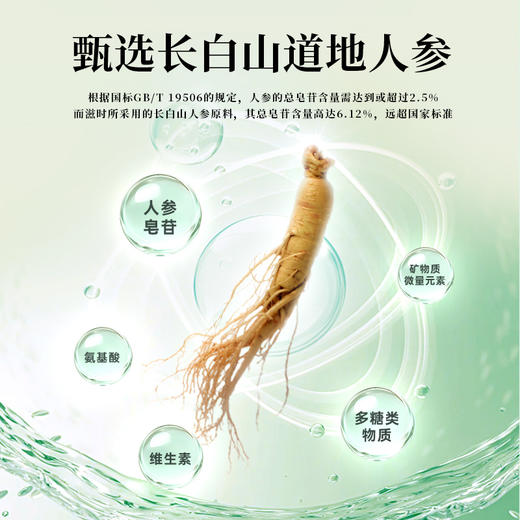 滋时早安+晚安人参粉饮组合F 商品图2