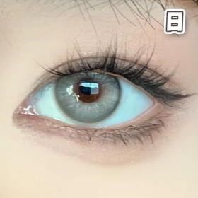 Apex#gray 耶稣纯灰 14.2mm 基弧8.7【10片装】进口日抛