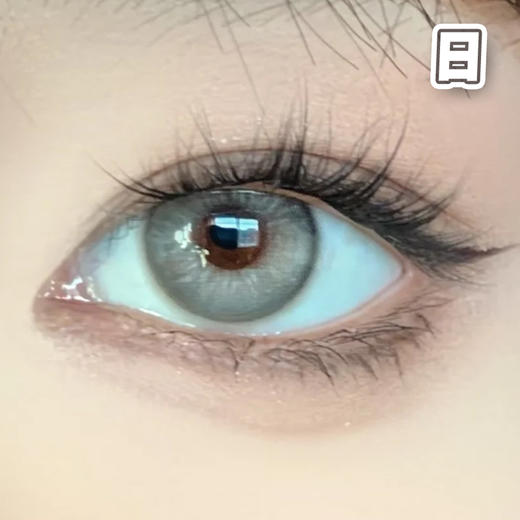 Apex#gray 耶稣纯灰 14.2mm 基弧8.7【10片装】进口日抛 商品图0