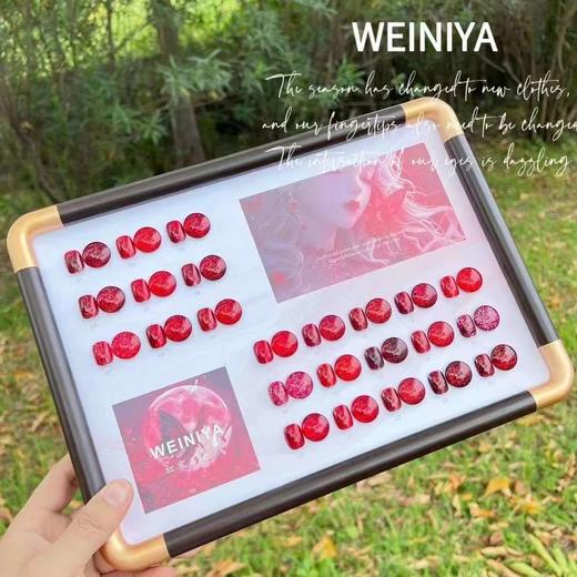 24色安可拉红 商品图1