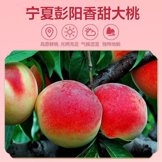 亲彭昊优彭阳桃脯188g（KBJ）（仅限福建省内配送，满400元包邮） 商品图3