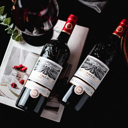 限时秒杀【海关监管直发】法国原酒进口-路易美露传世窖藏干红葡萄酒 商品图2
