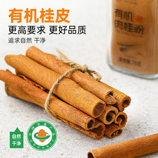 璞匠有机肉桂粉官方旗舰店姜黄肉桂粉食用冲饮咖啡烘焙健身食品 商品图1