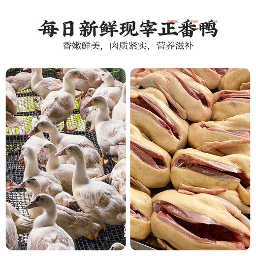 手工现做姜母鸭 | 20年老手艺鲜鸭现烹 一鸭一砂锅 温而不燥 滋而不腻 一口爆汁脱骨 香糯入味 好吃不上火 美味到姜都吃完 色浓而香醇 商品图9