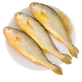 弹指鲜生 深海黄花鱼500g*3袋