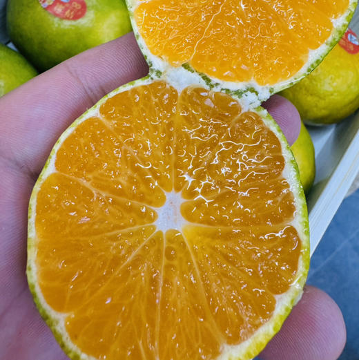 秋天的滋味，高山红土蜜桔🍊每次回味的果香都让人沉醉，悄悄地把秋日都融化在其中。不单送。 商品图6