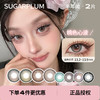 「 SUGARPLUM 」半年抛 款式合集 /2片装 商品缩略图0