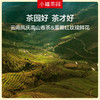 【新品！】小罐茶园彩标系列玫瑰红茶升级版单罐自饮实惠装两罐起售哦 商品缩略图3
