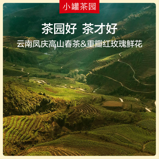 【新品！】小罐茶园彩标系列玫瑰红茶升级版单罐自饮实惠装两罐起售哦 商品图3