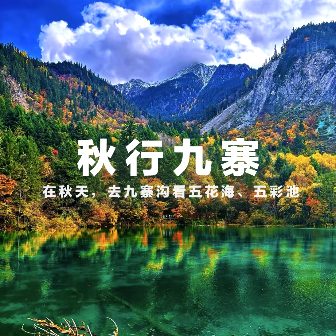 【9座包车｜12月14-18日】川西五日游，川内游玩的精华所在