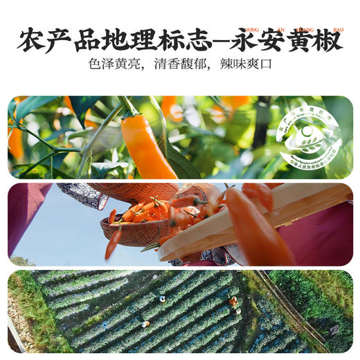 手工现做姜母鸭 | 20年老手艺鲜鸭现烹 一鸭一砂锅 温而不燥 滋而不腻 一口爆汁脱骨 香糯入味 好吃不上火 美味到姜都吃完 色浓而香醇 商品图8