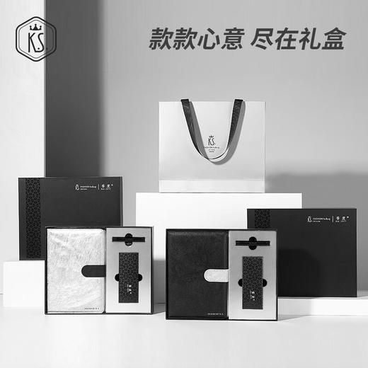 【小家电】K.S.睿骏联名款商务套装KS-761 HF 商品图0